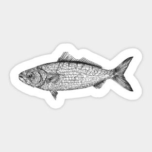 Fish scientific nature black ink pen drawing illustration Sticker